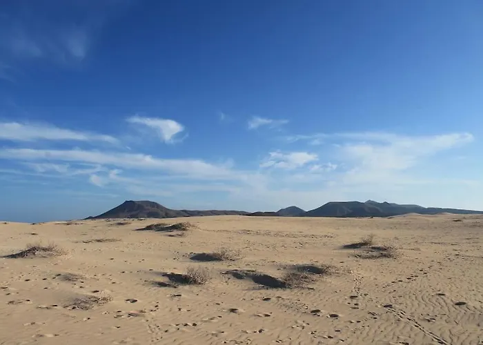 Dunas Playa, Piscina Y Relax Διαμέρισμα Κοραλέχο